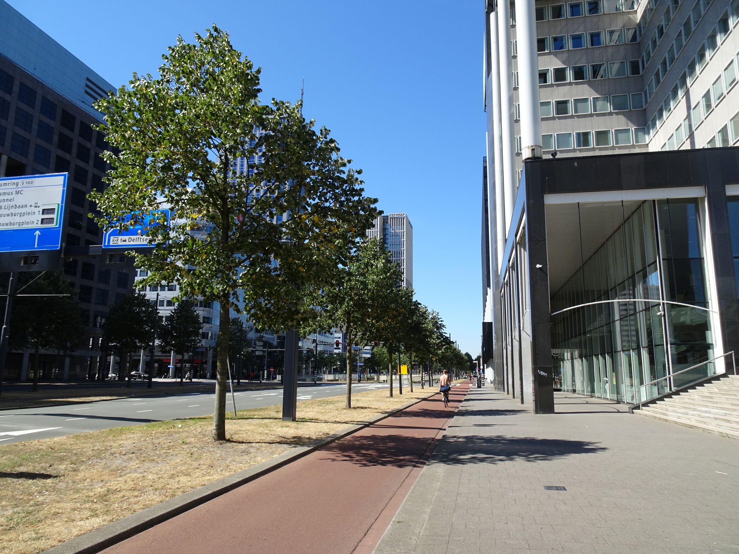 Office entrance on a business street in Rotterdam